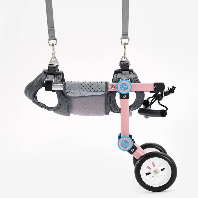 Cat-assisted Teddy Pet Dog Hind Leg Brace