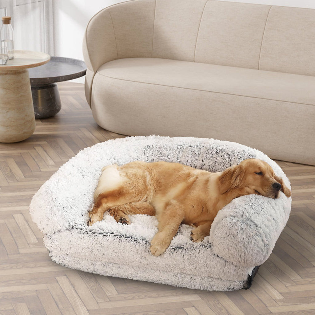 Foldable Human Size Dog Bed With Pillow Blanket