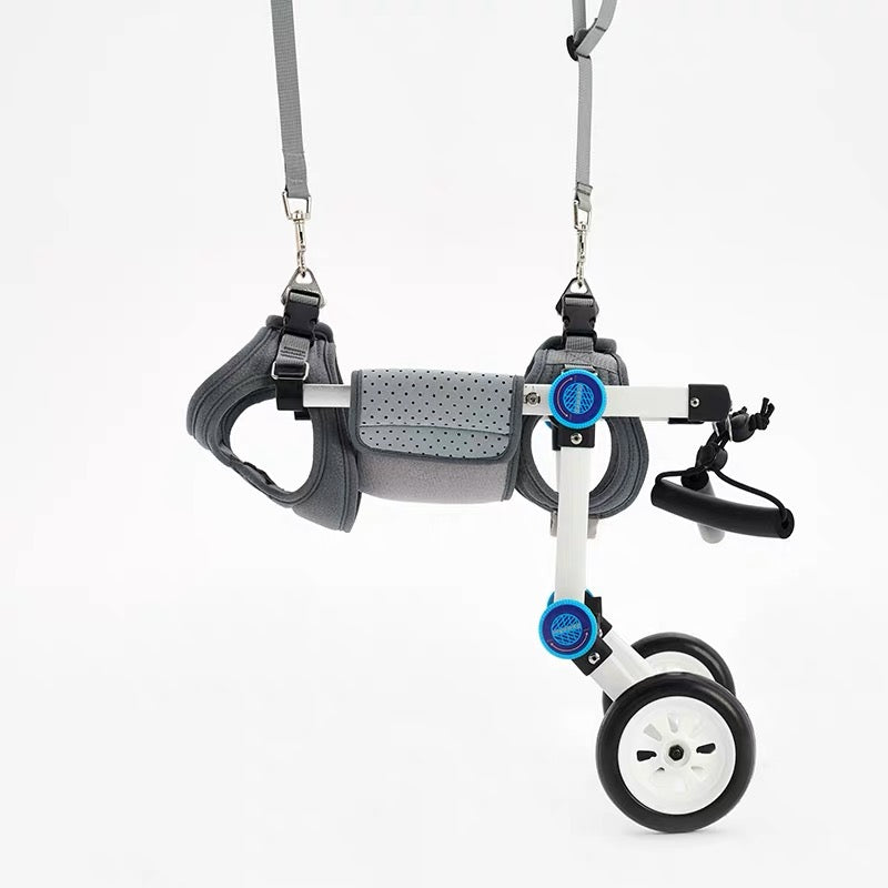 Cat-assisted Teddy Pet Dog Hind Leg Brace