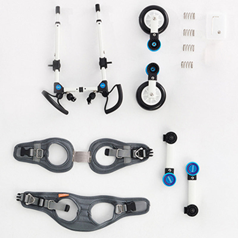 Cat-assisted Teddy Pet Dog Hind Leg Brace