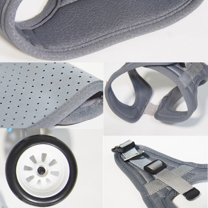 Cat-assisted Teddy Pet Dog Hind Leg Brace