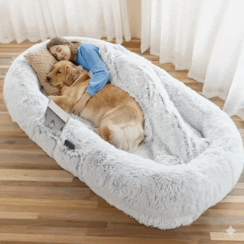 Foldable Human Size Dog Bed With Pillow Blanket