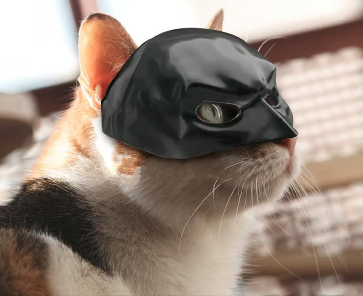 Bat Cat Mask Pet Toy