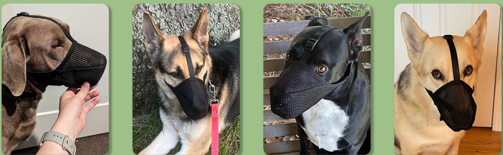 Fashion Pet Dog Mouth Cover Mask