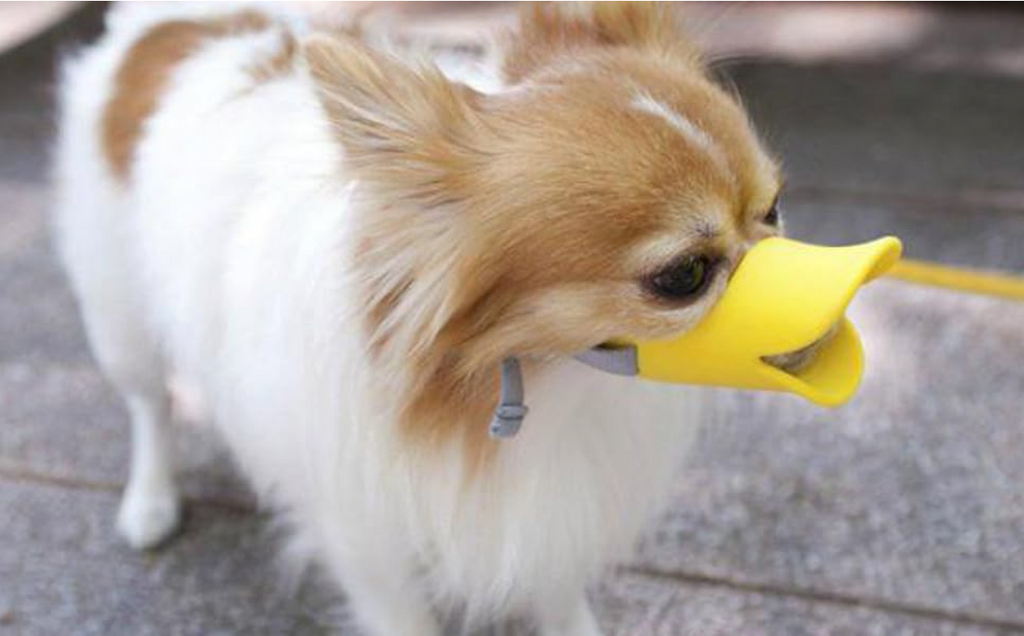 Dog Muzzle Silicone Mask Duck Muzzle Mask For Pet Dogs Anti Bite Stop Barking Small Large Dog Mouth Muzzles Pet Dog Accessories