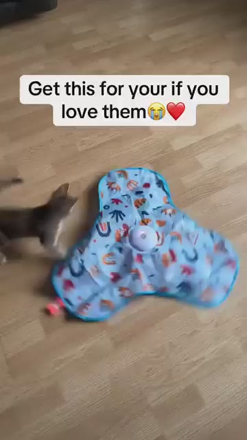 Cat Toy Smart Cat Hunting Cover Electric Relieving Stuffy