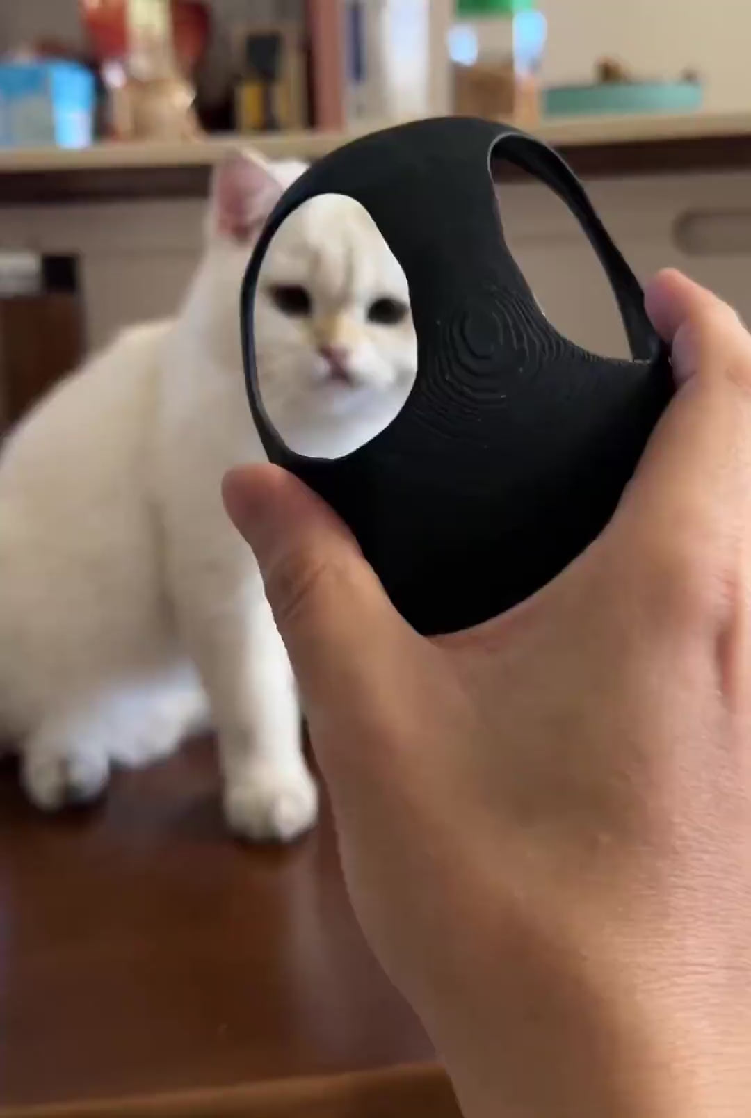 Bat Cat Mask Pet Toy